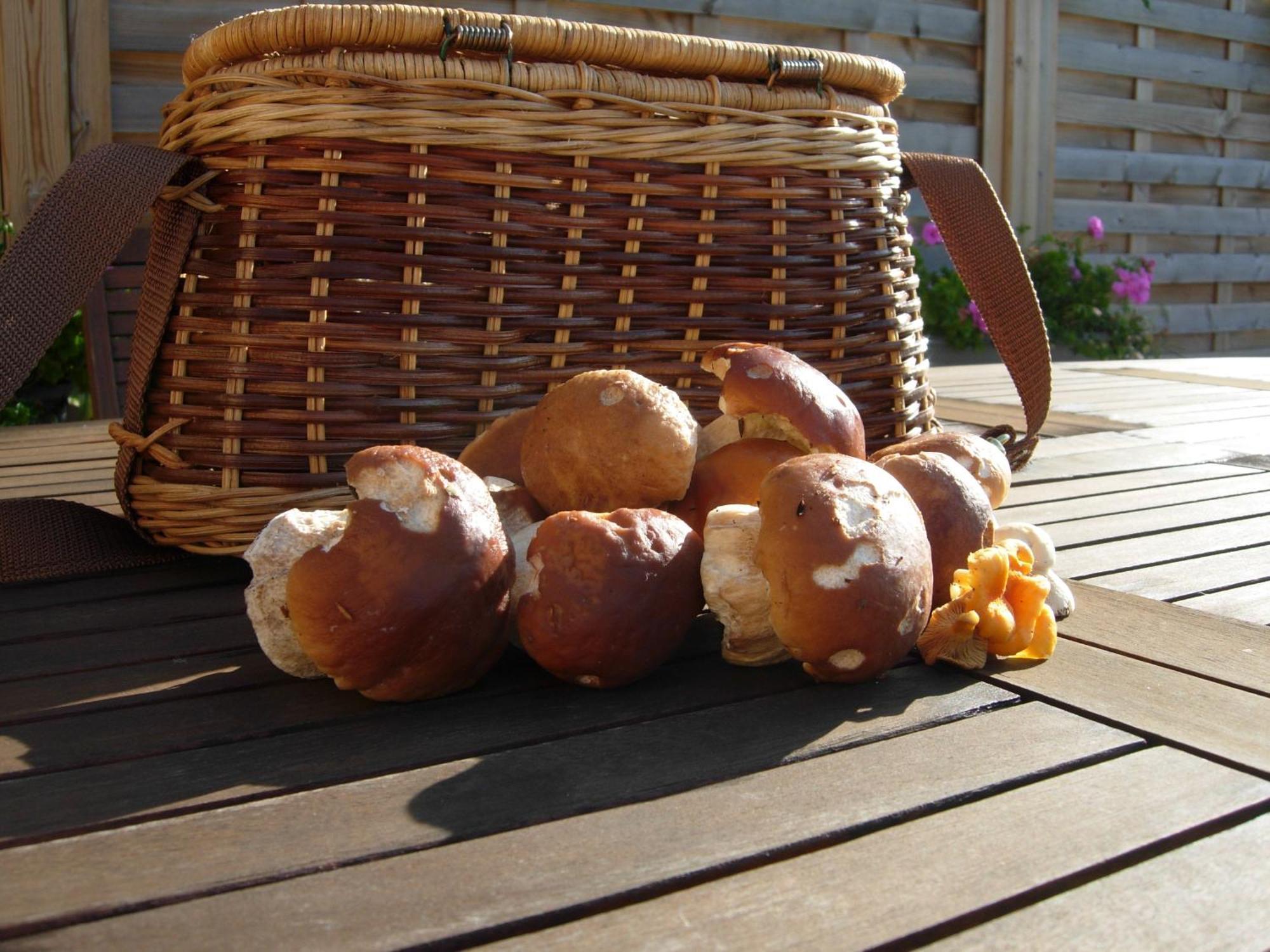 Bed and Breakfast Les Grands Pres Geney Zewnętrze zdjęcie