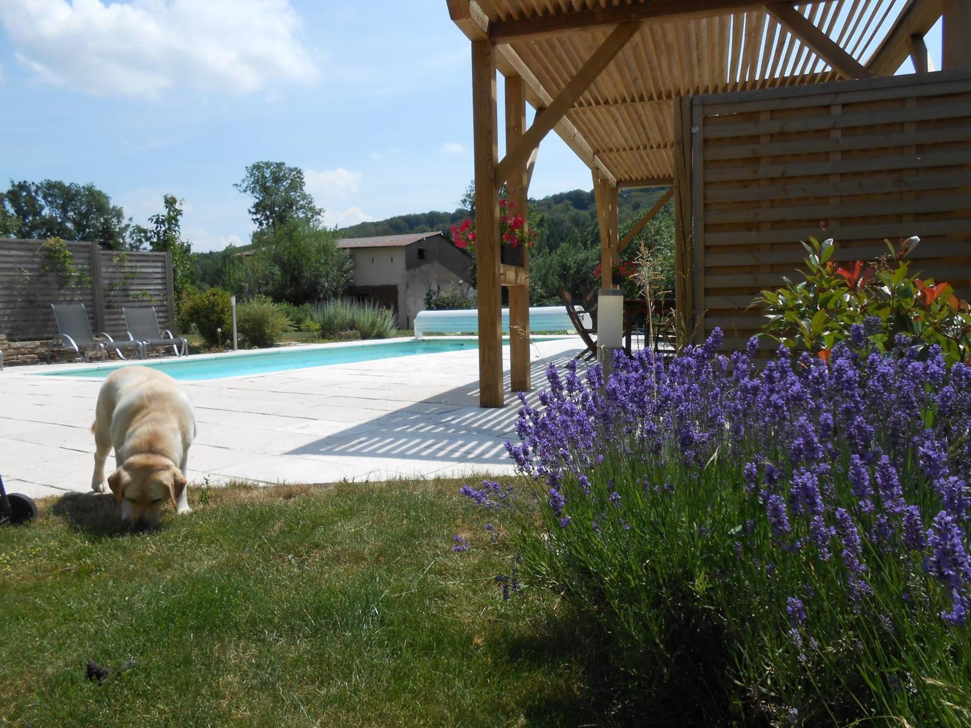 Bed and Breakfast Les Grands Pres Geney Zewnętrze zdjęcie